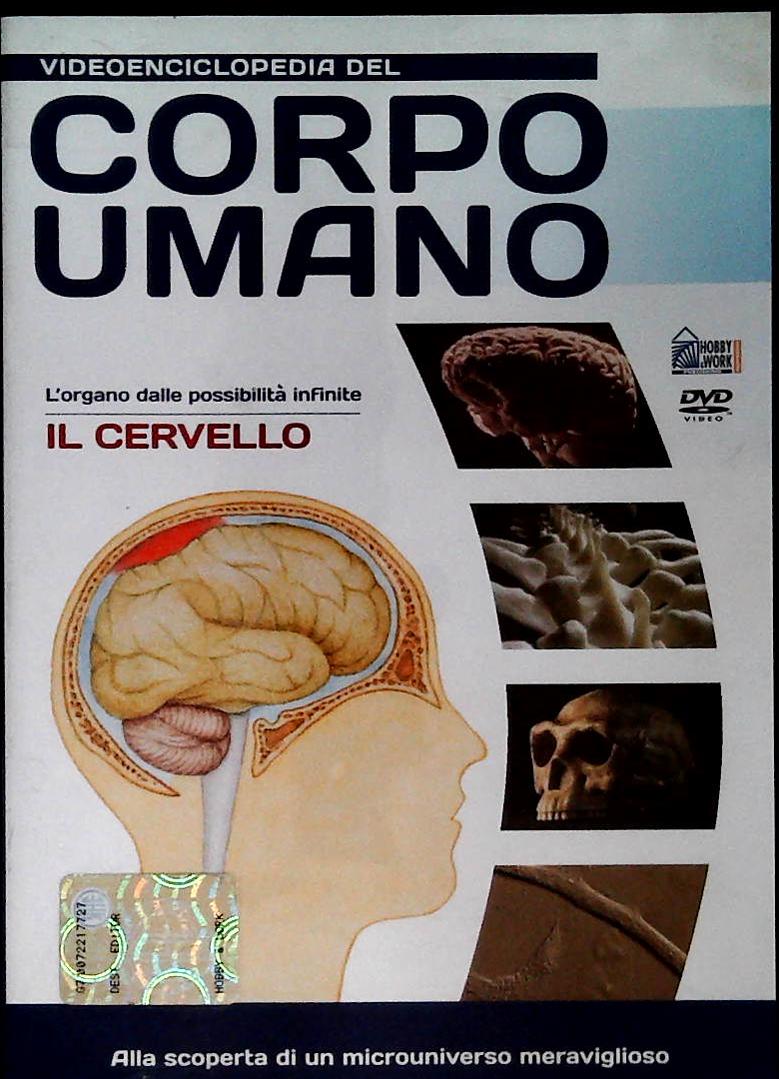 VIDEONCICLOPEDIA DEL CORPO UMANO - IL CERVELLO - DVD