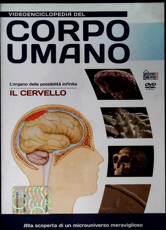 VIDEONCICLOPEDIA DEL CORPO UMANO - IL CERVELLO - DVD