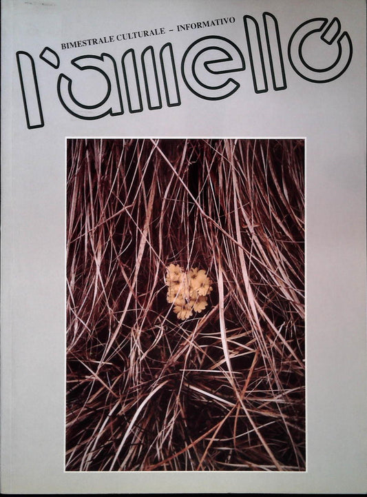 L'AMELLO - APRILE 1992