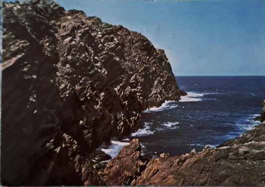STINTINO - SCOGLIERA DELLA PELOSA - V1966 - FG
