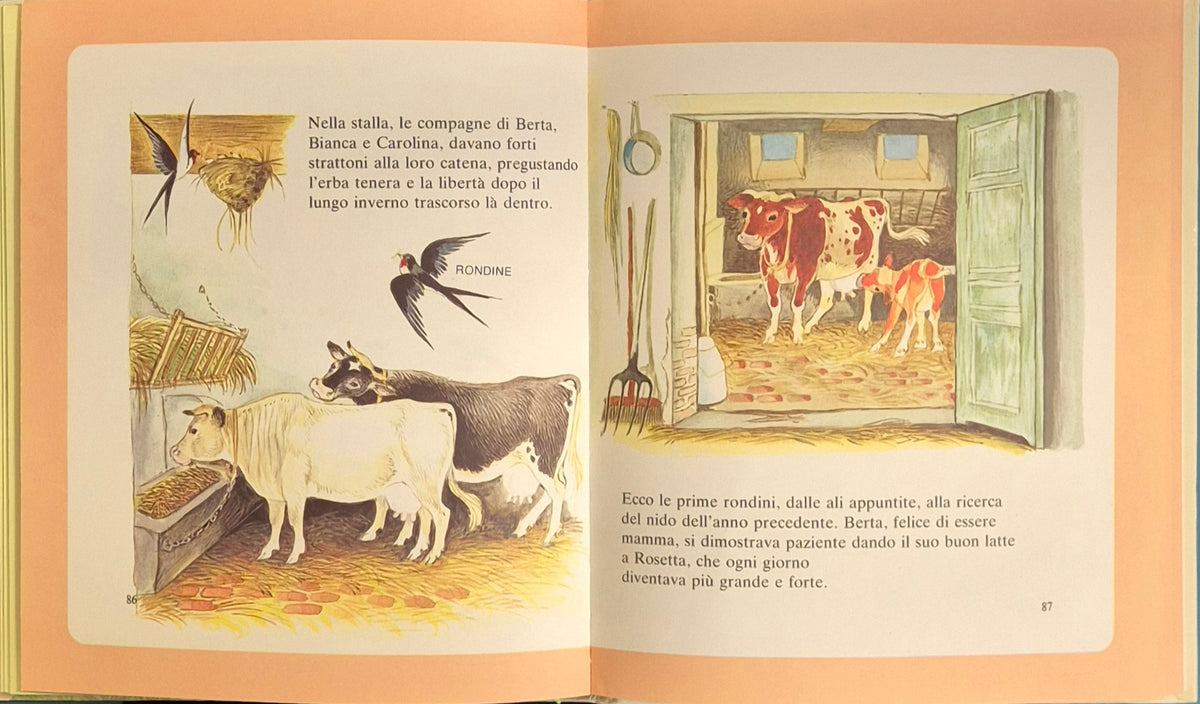 PICCOLI AMICI DELLA FATTORIA - ELISABETH IVANOVSKY