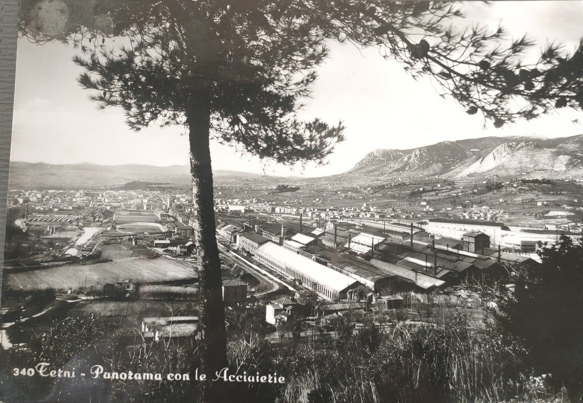 TERNI -PANORAMA CON LE ACCIAIERIE -V1961 - FG