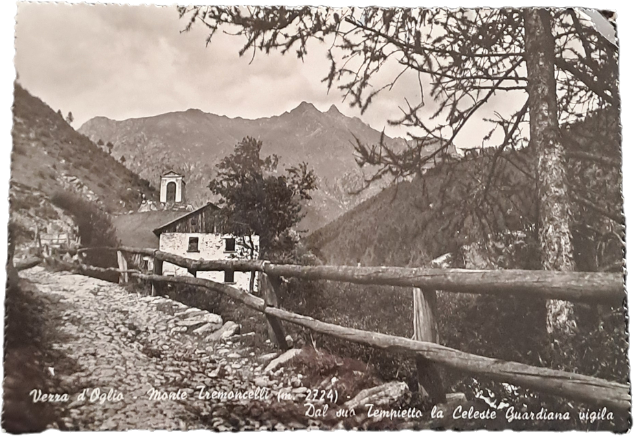 VEZZA D'OGLIO - MONTE TREMONCELLI - V1952 - FG