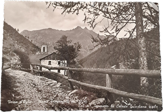 VEZZA D'OGLIO - MONTE TREMONCELLI - V1952 - FG