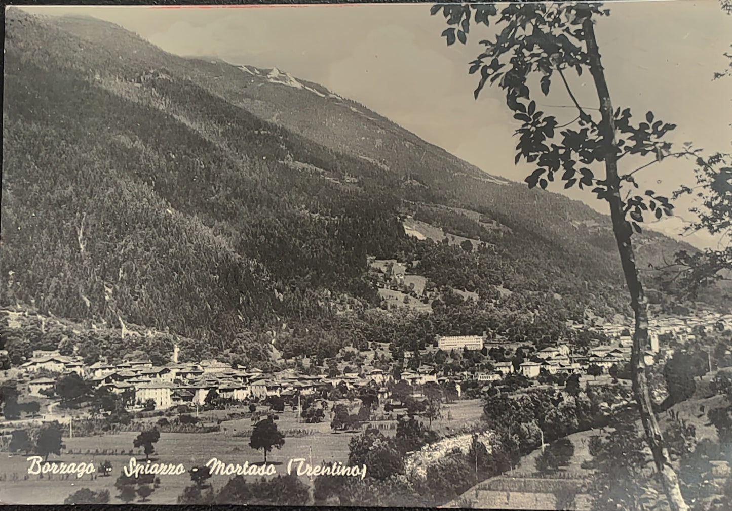 BARZAGO-SPIAZZO-MORTASO - PANORAMA - V1960 - FG