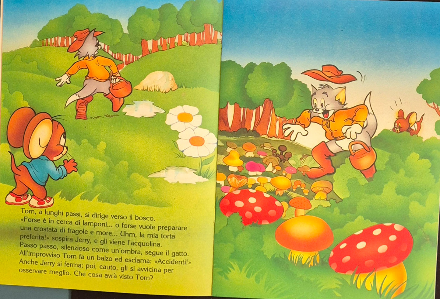 TOM E JERRY - IL FUNGO MISTERIOSO - DE AGOSTINI 1990 - OUTLET DEL LIBRO