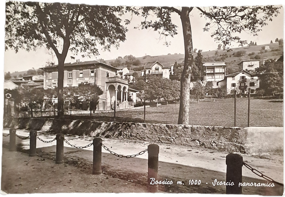 BOSSICO -PANORAMA -V1964 - FG