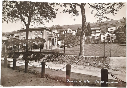 BOSSICO -PANORAMA -V1964 - FG