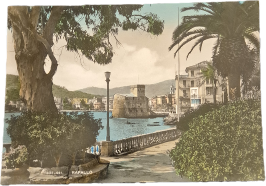 RAPALLO - PANORAMA - V1947 -FG - ACQUARELLATA