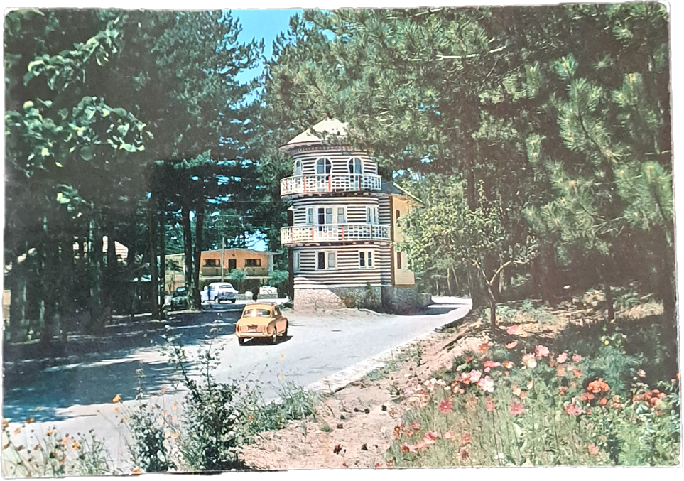 LA SILA - VILLAGGIO MANCUSO - V1954 - FG