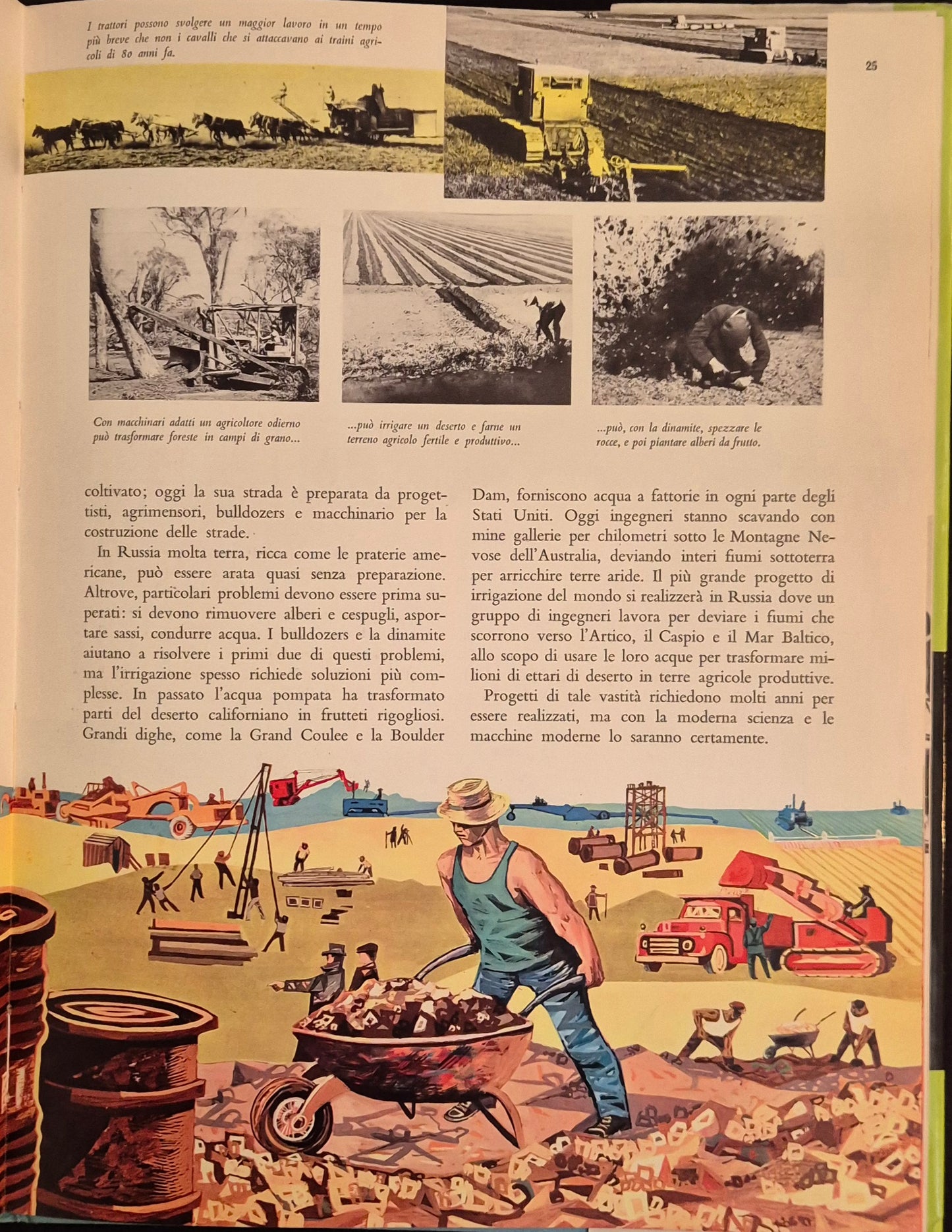 IL CIBO. LA MERAVIGLIOSA FONTE DI VITA - JOHN BOYD ORR