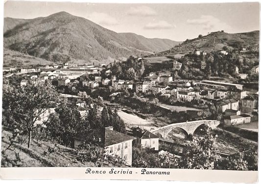 RONCO SCRIVIA - PANORAMA - V1952 - FG