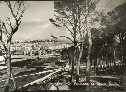 CAGLIARI - PANORAMA - NV - FG