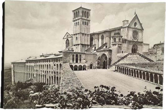 ASSISI - BASILICA DI S. FRANESCO - V1955 - FG