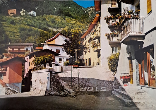 TERRAGNOLO - TRENTO - V1975 - FG