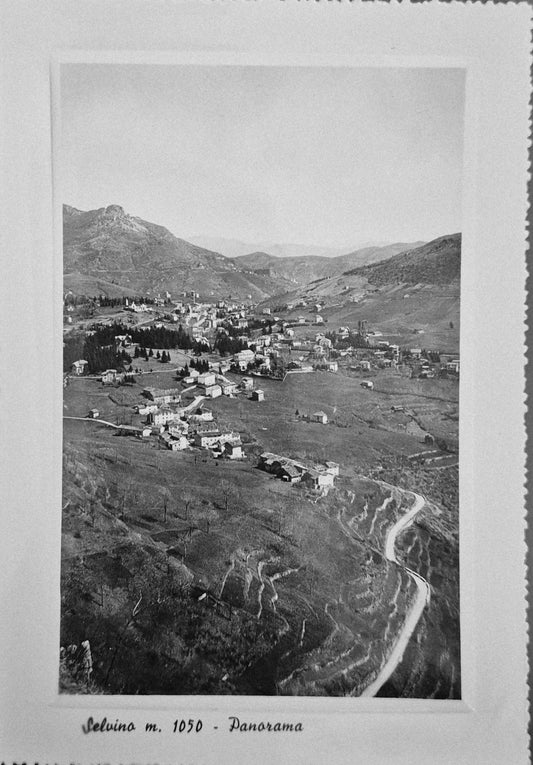 SELVINO  - PANORAMA - V1952 - FG