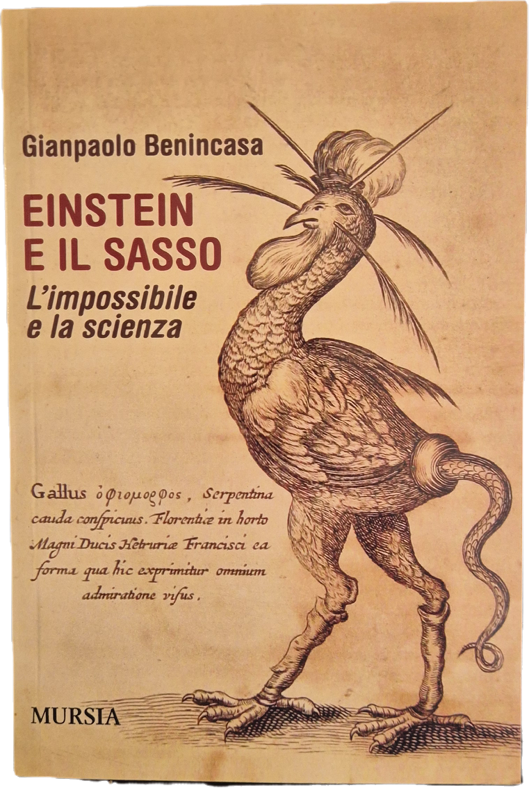 EINSTEIN E IL SASSO. L'IMPOSSIBILE E LA SCIENZA - GIANPAOLO BENINCASA