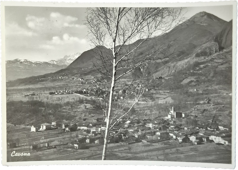 CAVONA - PANORAMA - V1954 - FG
