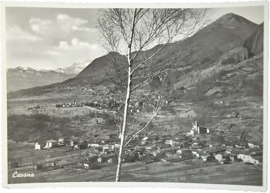CAVONA - PANORAMA - V1954 - FG