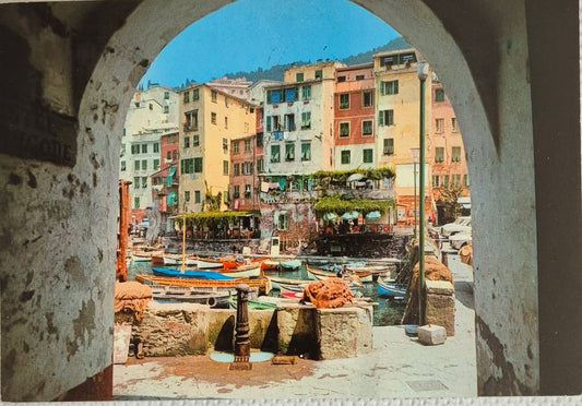 CAMOGLI - ANGOLO PITTORESCO DEL PORTO - V1070 - FG