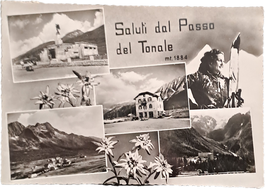 SALUTI DAL PASSO DEL TONALE - 4 IMMAGINI - V1963 - FG