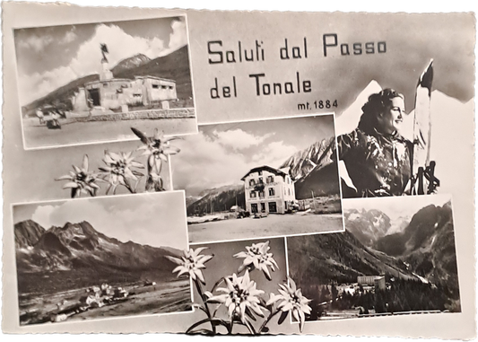 SALUTI DAL PASSO DEL TONALE - 4 IMMAGINI - V1963 - FG