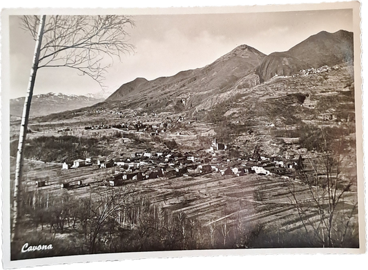 CAVONA - PANORAMA - VSD  FG