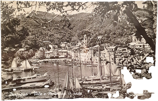 PORTOFINO - PANORAMA - V1953 - FP