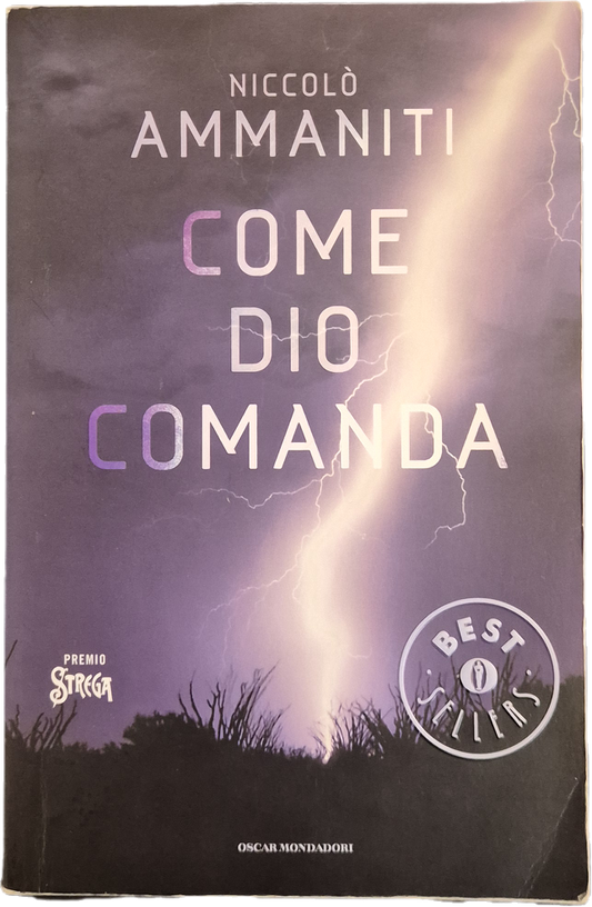 COME DIO COMANDA - NICCOLO' AMMANITI