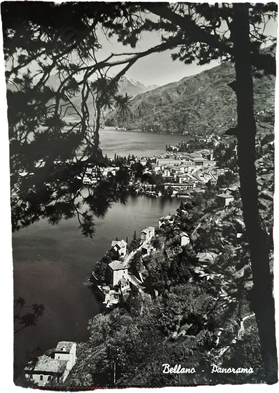 BELLANO - PANORAMA - V1954 -FG