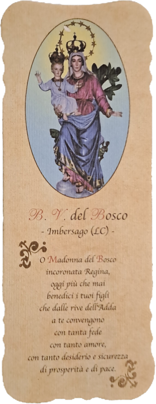 B.V. DEL BOSCO IMBERSAGO - HOLY CARD