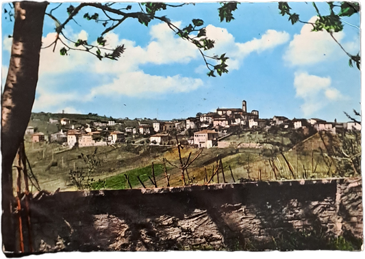 ZIANO PIACENTINO - PANORAMA - V1963 - FG
