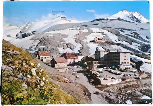PASSO DELLO STELVIO -SCUOLA ESTIVA SCI SERTORELLI -V1969 FG
