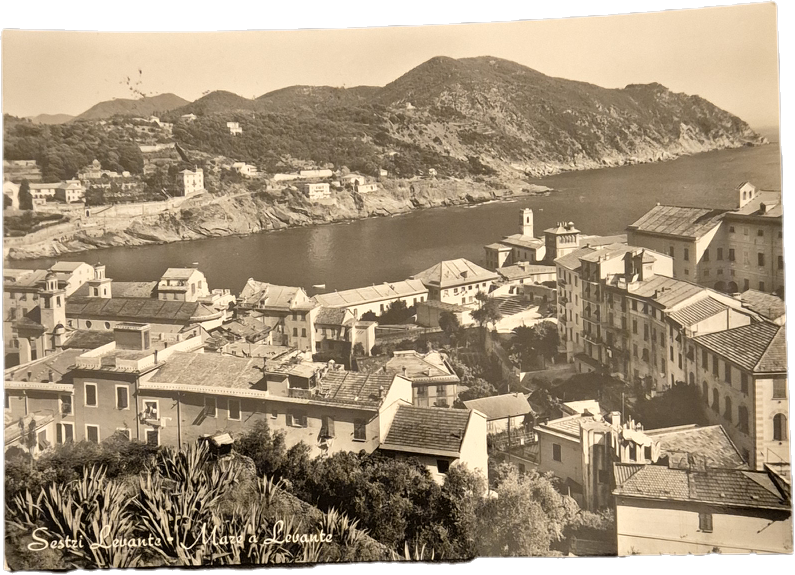 SESTRI LEVANTE - PANORAMA - V1956 - FG