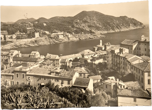 SESTRI LEVANTE - PANORAMA - V1956 - FG