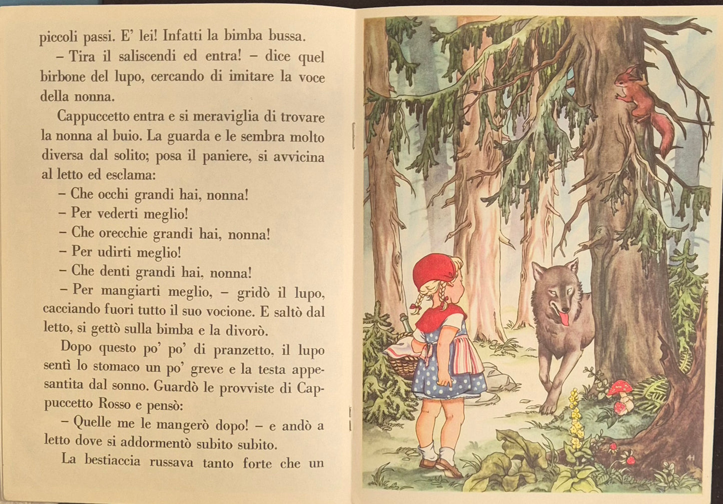 CAPPUCCETTO ROSSO - AMZ 1988 - OUTLET DEL LIBRO