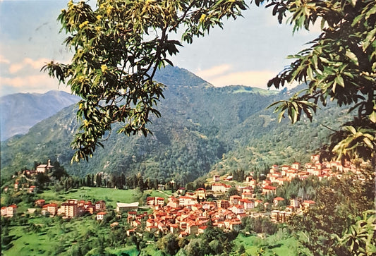 SALUTI DA ESINO LARIO - PANORAMA - VSD - FG