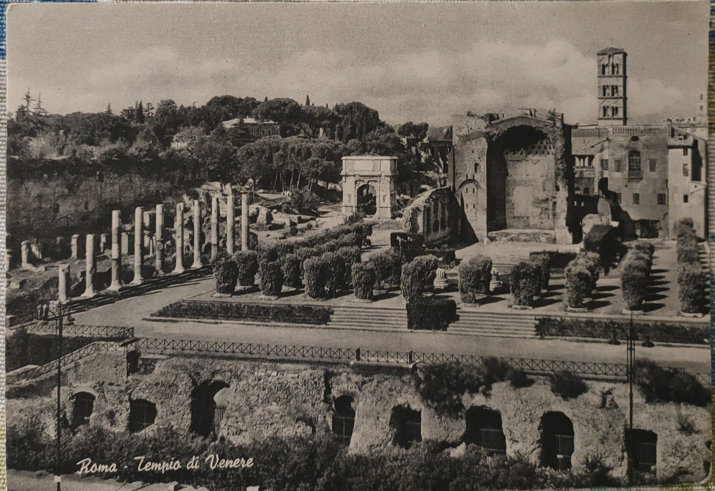 ROMA -TEMPIO DI VENERE - V1959 - FG