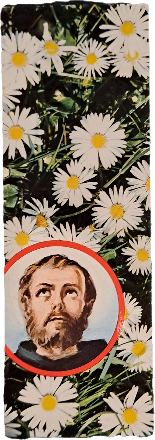 SAN GIUSEPPE DA COPERTINO -HOLY CARD