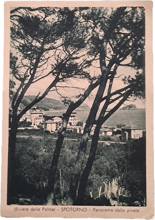 SPOTORNO - RIVIERA DELLE PALME - PANORAMA - V1952 - FG
