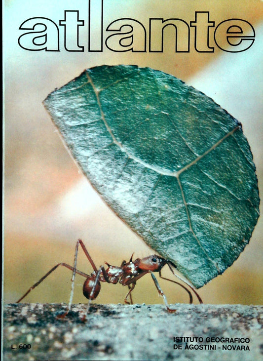 ATLANTE - MARZO 1971 - OUTLET DEL LIBRO