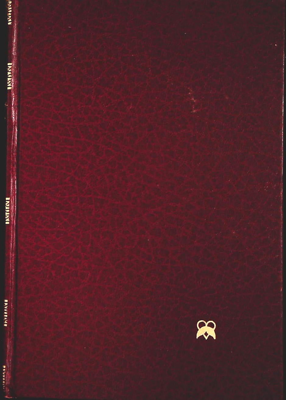 UN AMORE COSI' RARO - DANIELLE STEEL - CDE 1985 - OUTLET DEL LIBRO