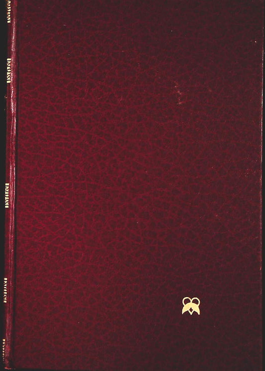 UN AMORE COSI' RARO - DANIELLE STEEL - CDE 1985 - OUTLET DEL LIBRO