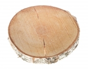DISCO BETULLA - DIAM. 20-25 CM H 3 CM