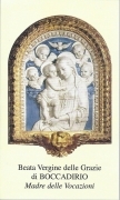BEATA VERGINE DELLE GRAZIE DI BOCCADIRIO - MADRE DELLE VOCAZIONI - AS012-167