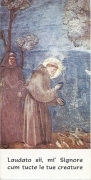 LAUDATO SII MI SIGNORE CUM TUCTE LE TUE CREATURE - S. FRANCESCO - AS012-302