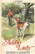 ADDIO LADY - JAMES STREET