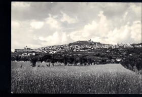 ASSISI - PANORAMA DELLA PIANUR