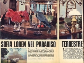 SOFIA LOREN NEL PARADISO TERRESTRE 1969 - CLIPPING-RITAGLIO DI GIORNALE