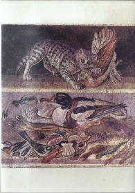 NAPOLI - MUSEO NAZIONALE - GATTA CHE UCCIDE PERNICE - VOLATILI E PESCI - POMPEI